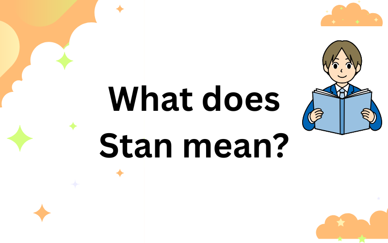 what does Stan mean