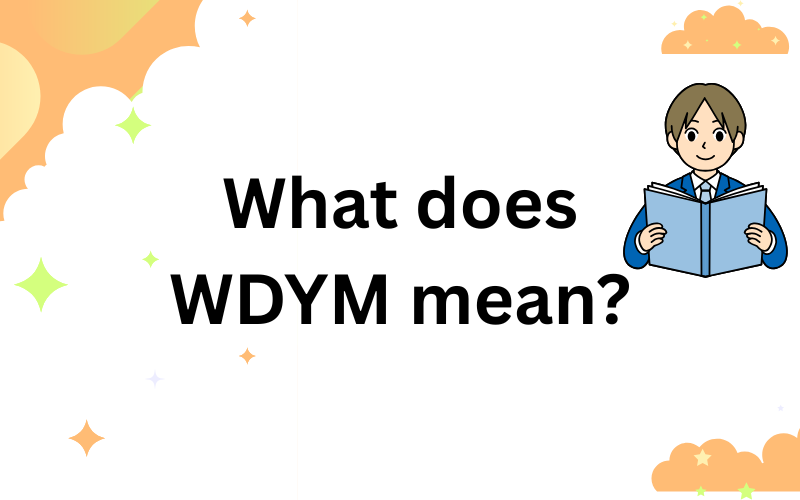 what does wdym mean