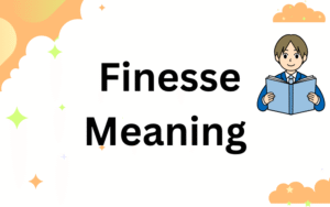 Finesse Meaning