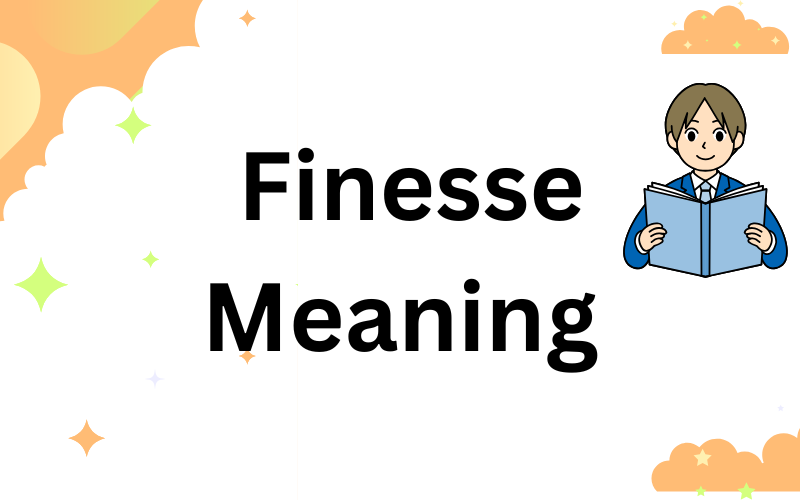 Finesse Meaning