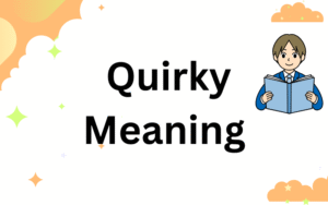 Quirky Meaning