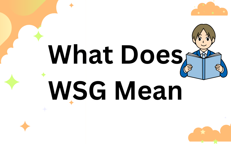 What Does WSG Mean
