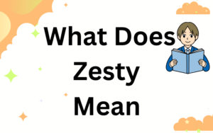 What Does Zesty Mean