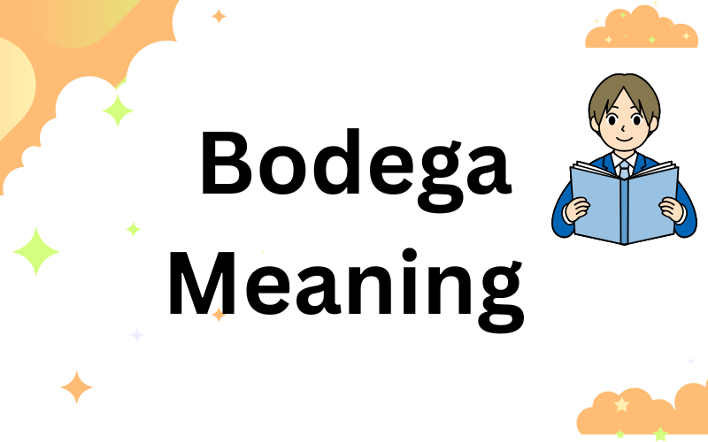 Bodega Meaning