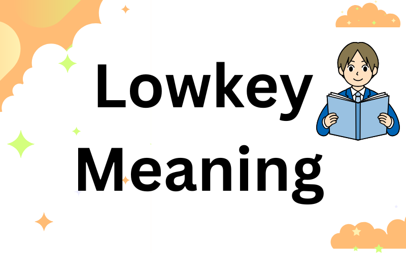 Lowkey Meaning