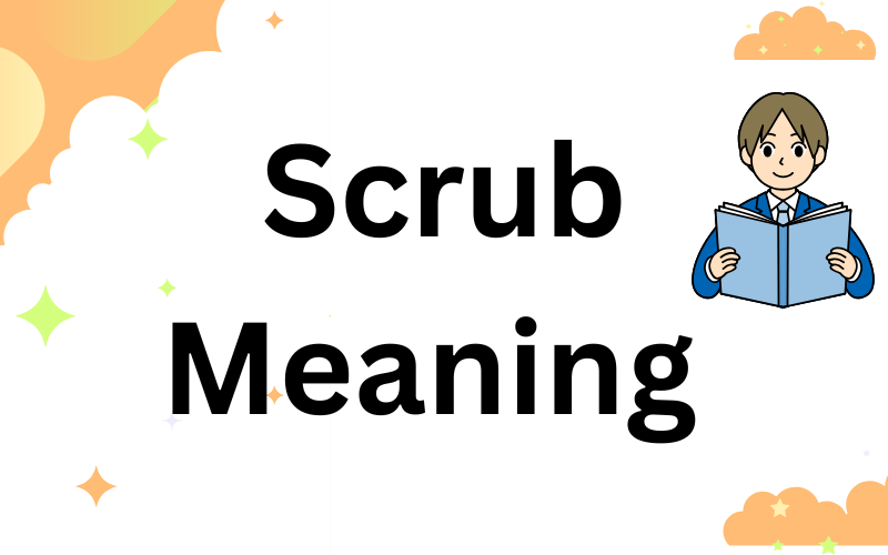 Scrub Meaning