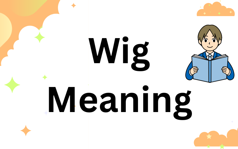 Wig Meaning