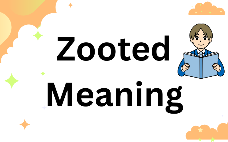 Zooted Meaning